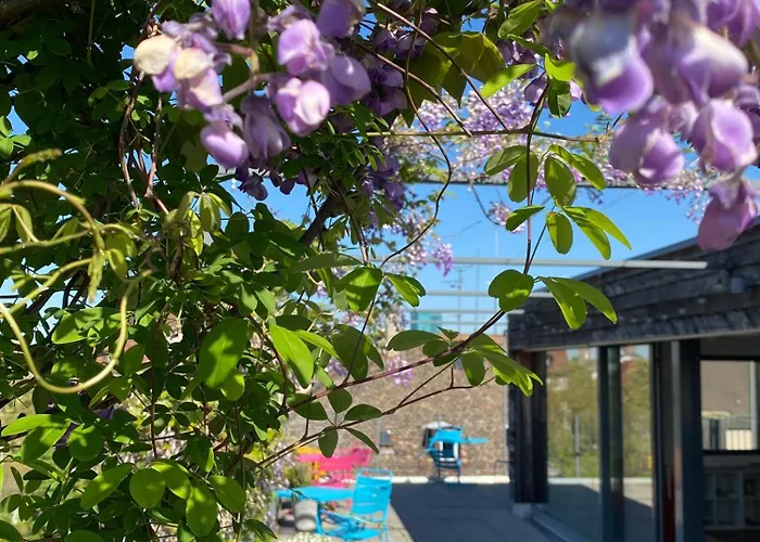 Josephine'S Guesthouse - Women Only With Rooftop And Community Area